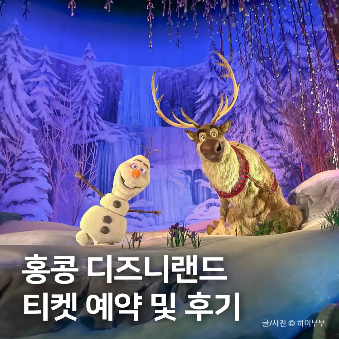 香港ディズニーランド完全攻略|チケットのティア制度と雨の日の「アナ雪」待ち時間