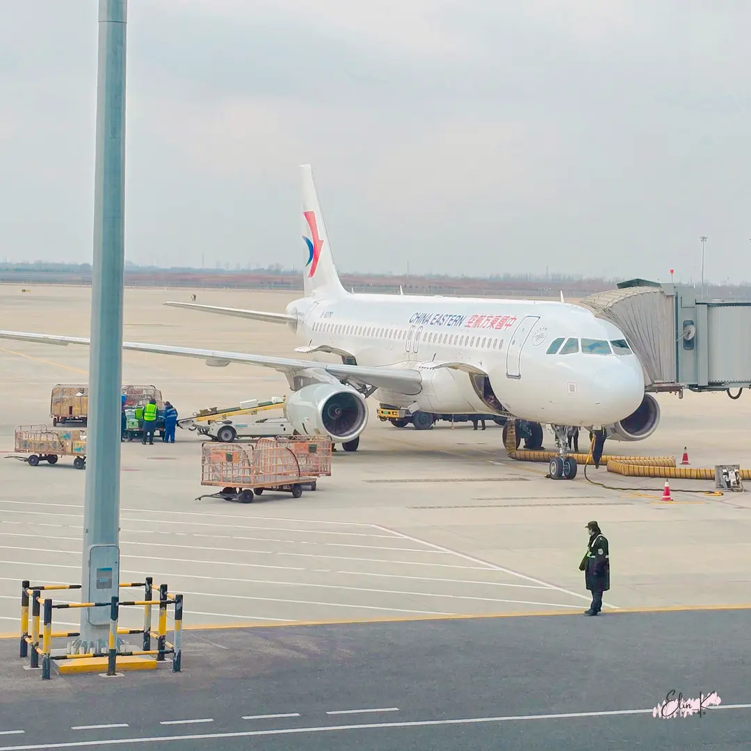 China Online Arrival Card 2026: Visa-Free Entry Guide