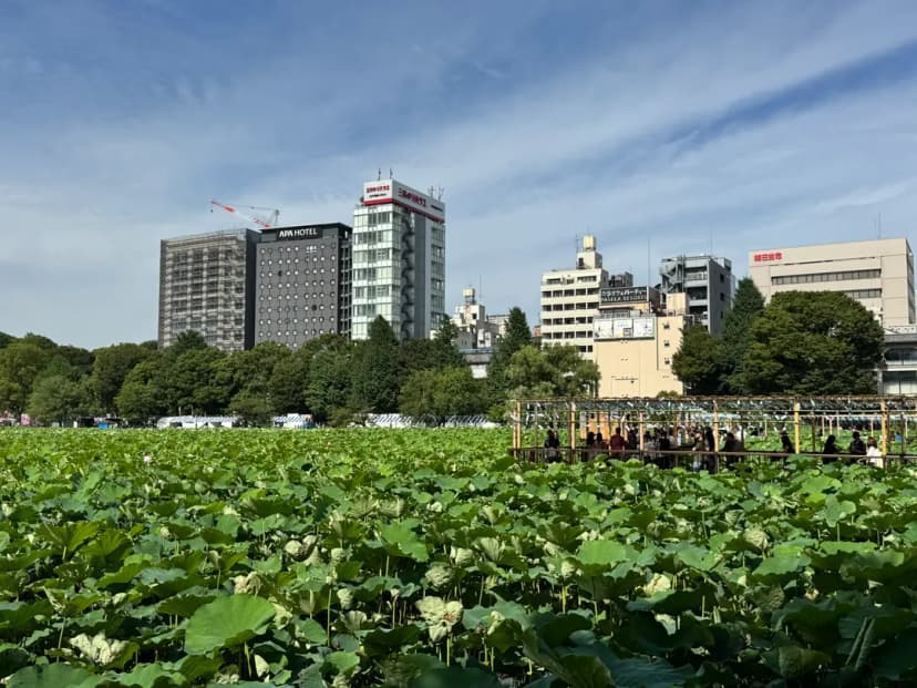 People enjoying Ueno Park Matsuri