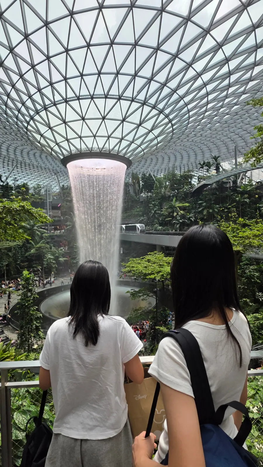 SG Arrival Card Singapore Guide 2026: Jewel Changi Entry