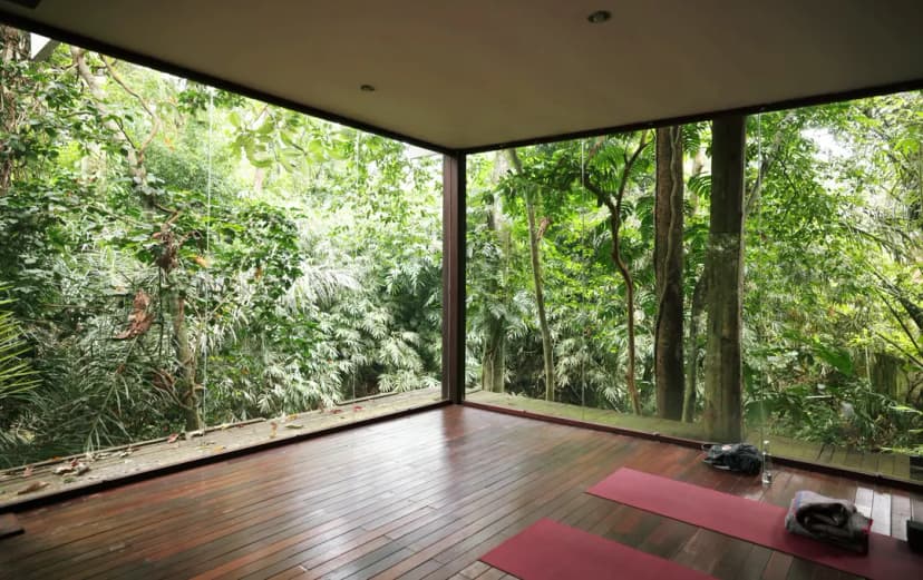 Stunning jungle views in Ubud Bali