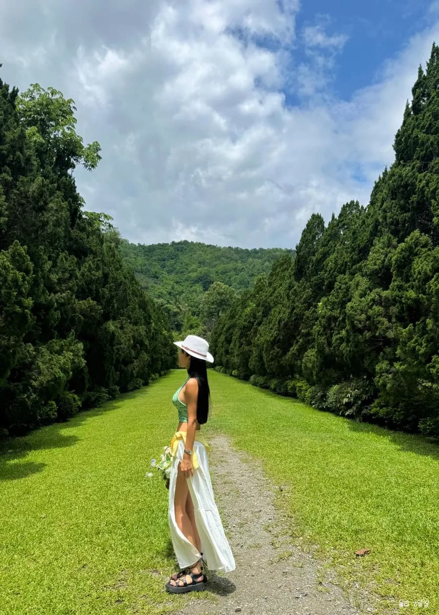 รีวิว Elefin Farm เชียงใหม่: คาเฟ่ช้าง & พิกัดเที่ยว 2026