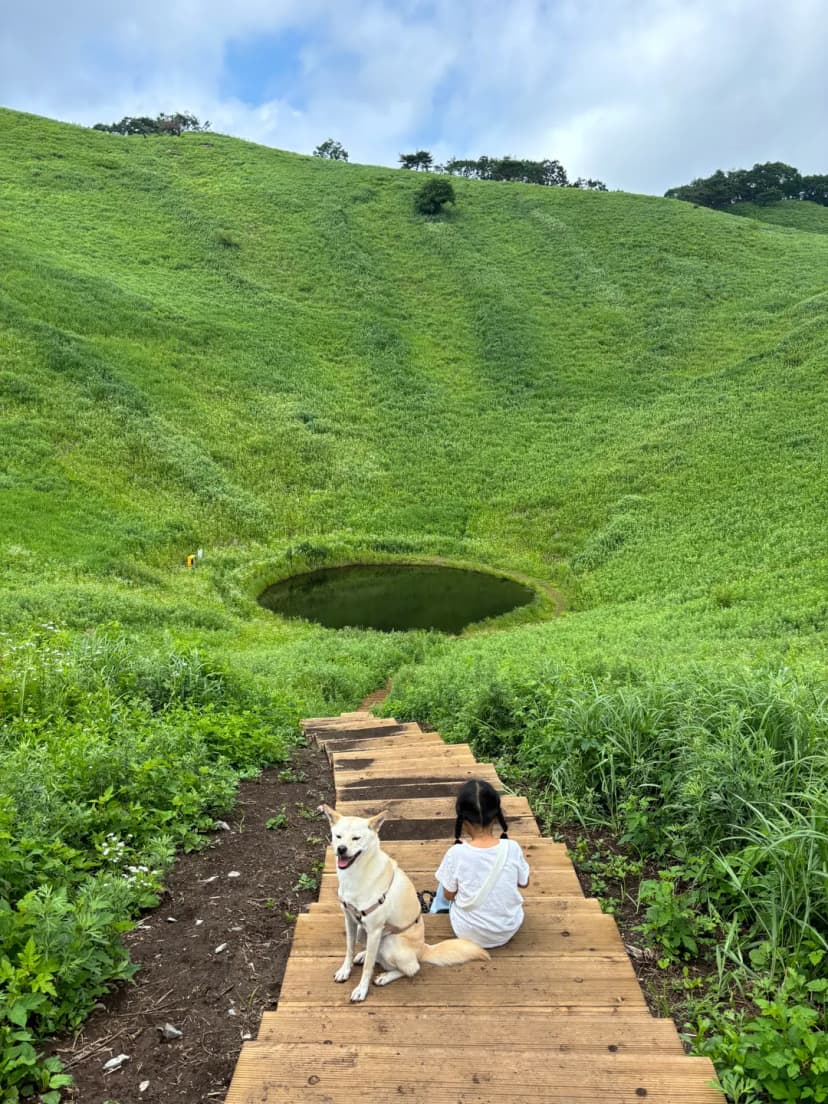 Jeongseon Mindeungsan Mountain Dolline, Gangwon Province