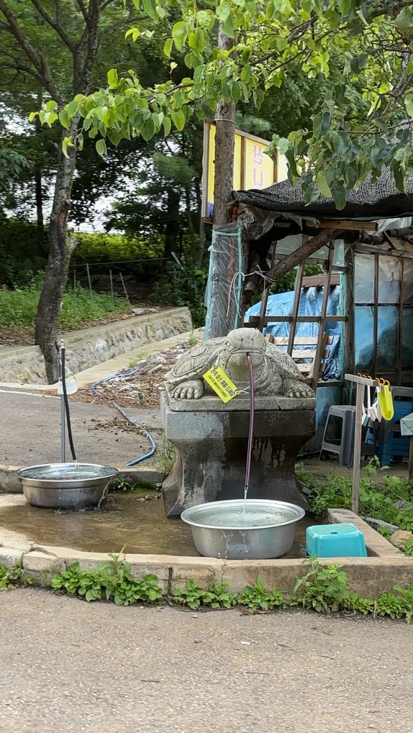 Jeongseon Mindeungsan Mountain Shortest Route Turtle Shelter