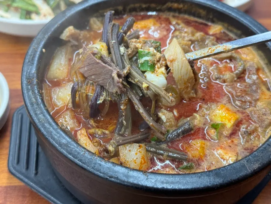 제주 함덕 노포맛집 고사리육내탕 순풍해장국 함덕점