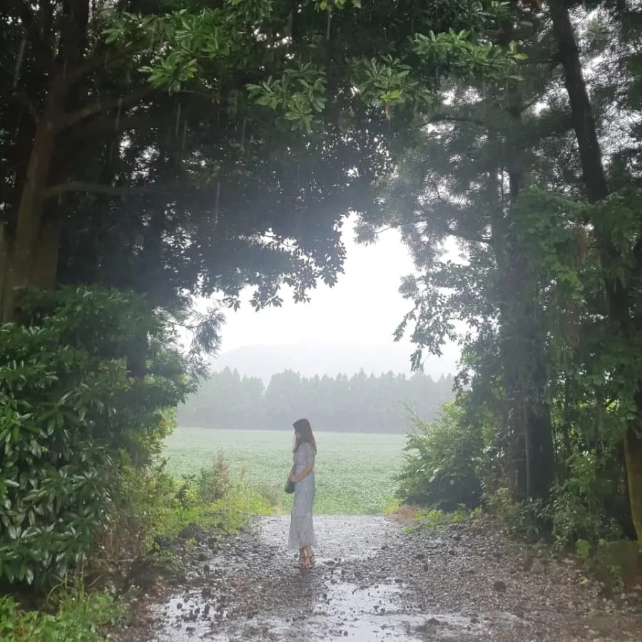 เที่ยวเชจูตะวันออก 2026: รีวิว 3 พิกัดถ่ายรูปสวยห้ามพลาด