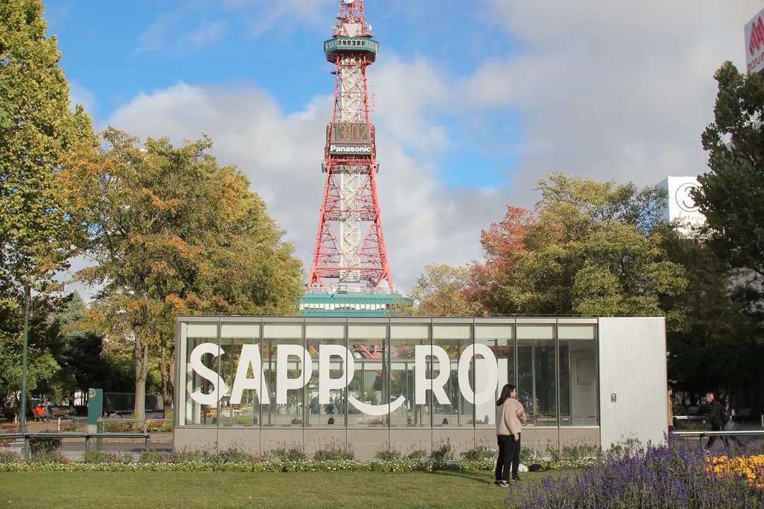 USIMSA Sapporo Data 2026: eSIM vs. SIM Card for Travelers