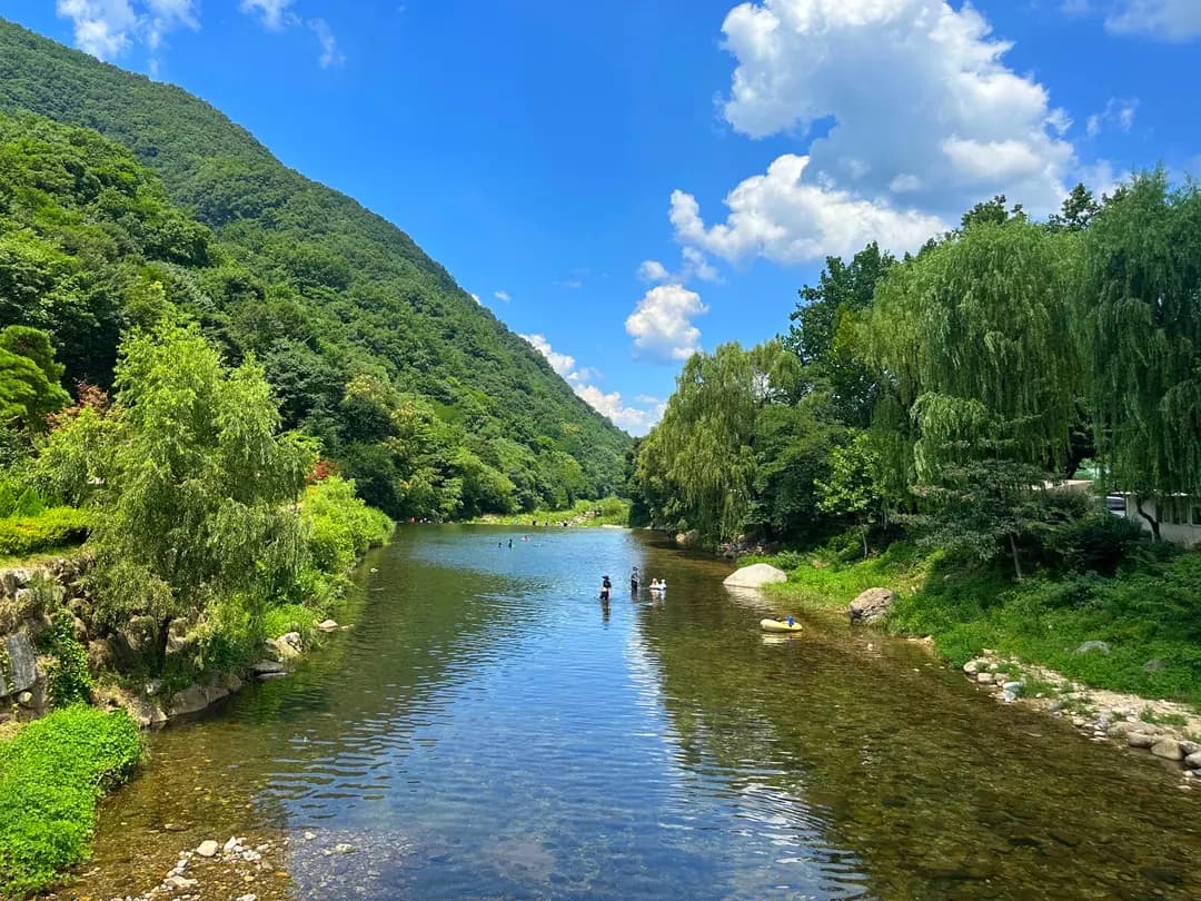 충청도 계곡 추천 물놀이 하기 수심 딱 좋은 제천 송계계곡 (주차 팁)