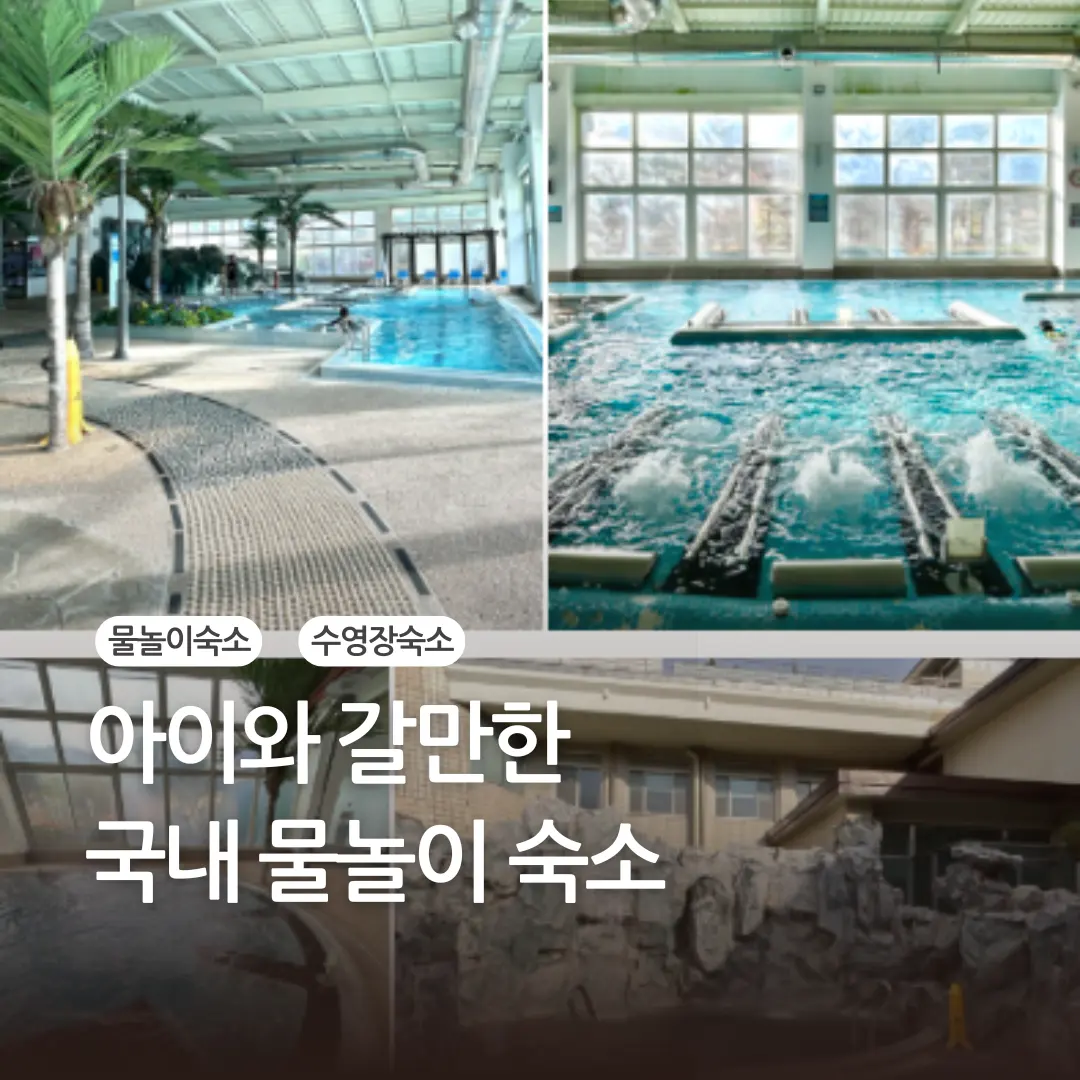 아이와 만족했던 국내 수영장 숙소 추천