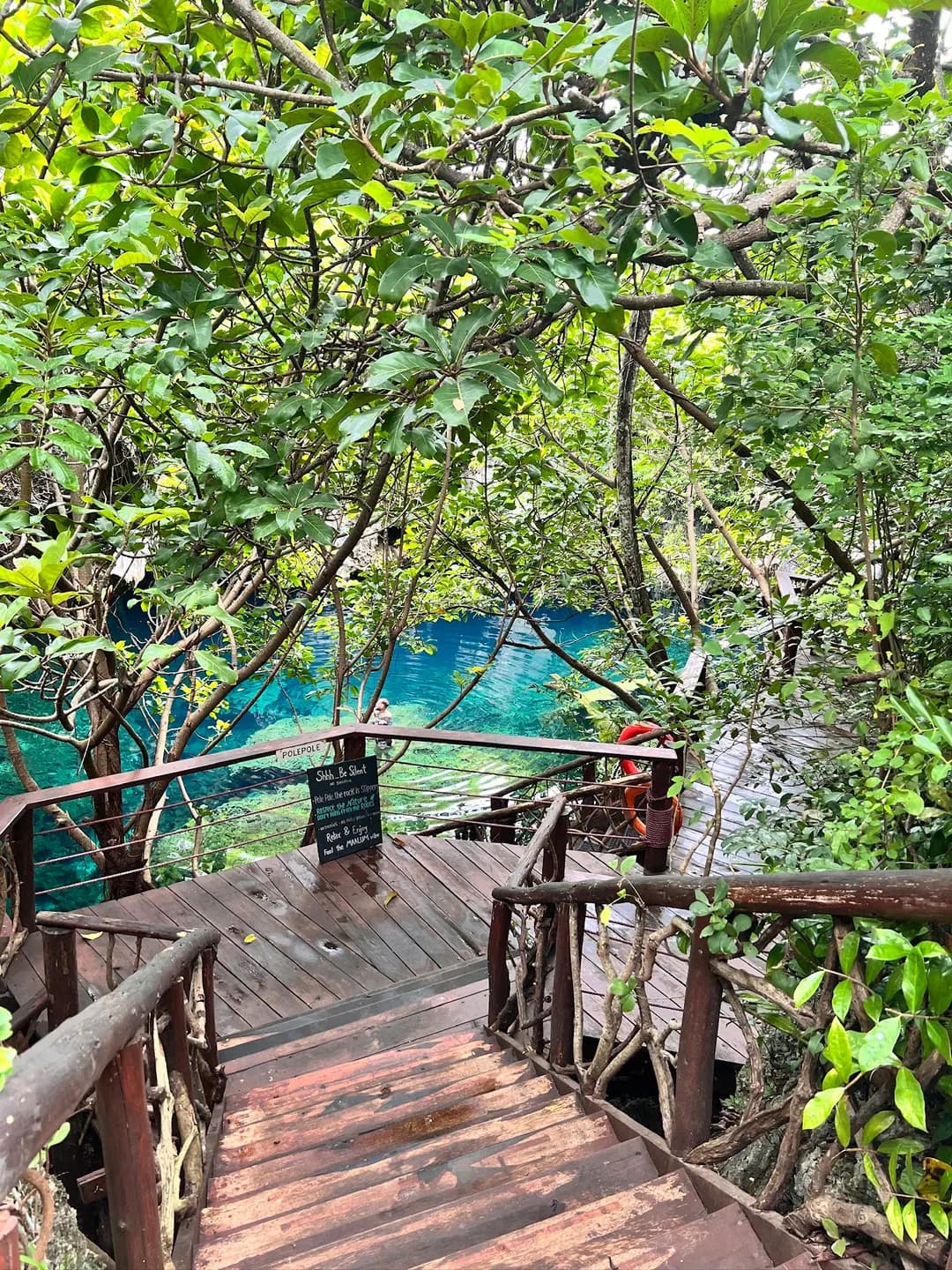 รีวิว Maalum Zanzibar 2026: ว่ายน้ำถ้ำธรรมชาติสุด Unseen