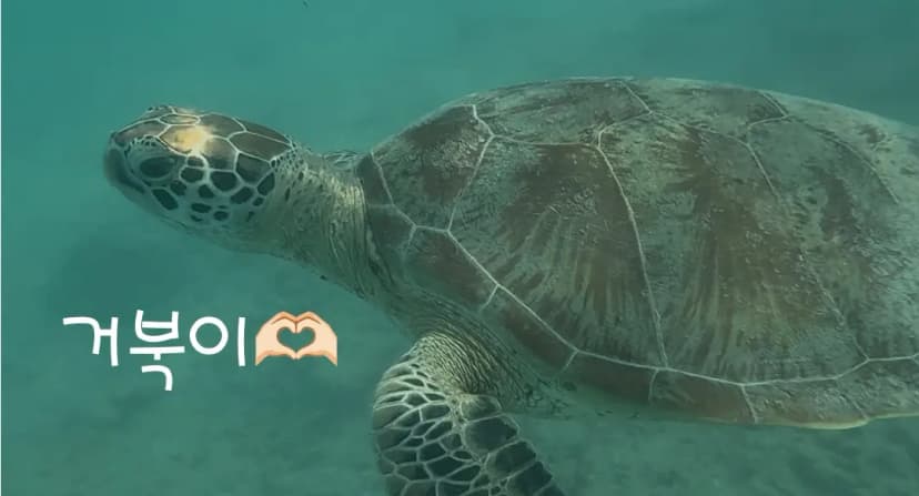 Snorkeling in Gili Islands Bali
