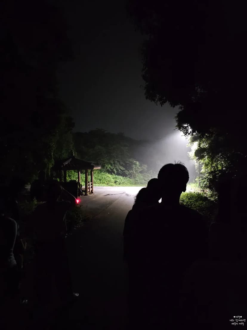 Without light, you can't see anything at all