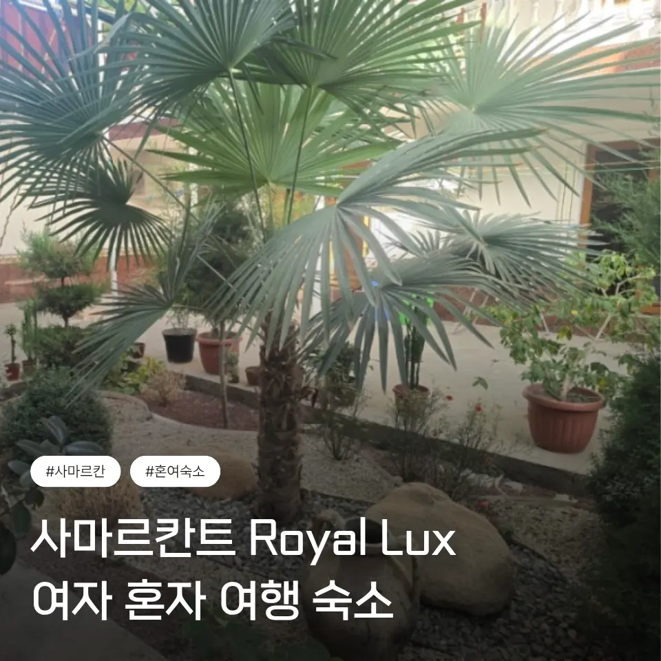 사마르칸트 레기스탄 근처 숙소 추천 ROYAL LUX 여자 혼자 내돈내산 후기