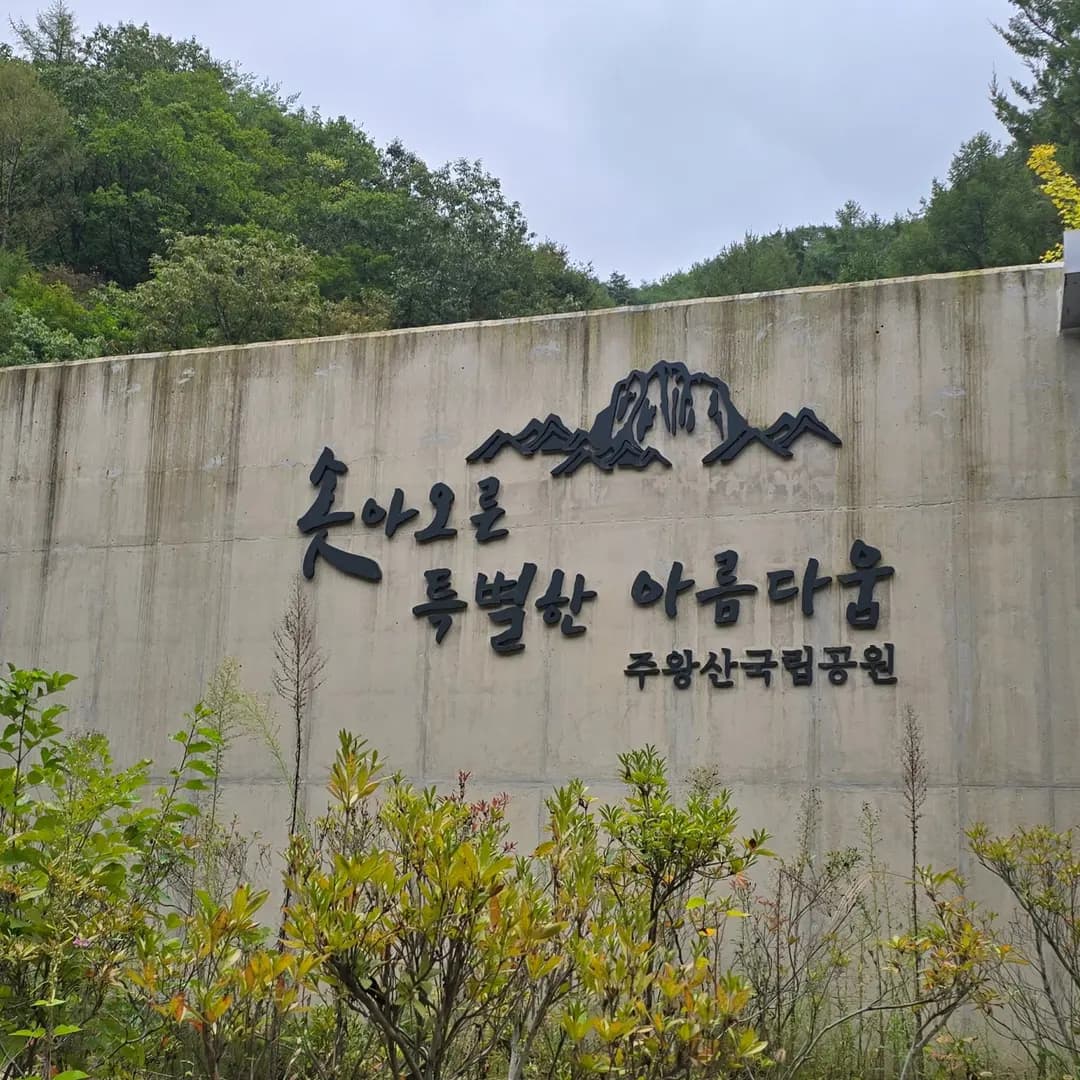 주왕산에서 용연폭포까지 가을 산행 후기 가족과 함께 했던 청송 힐링 여행