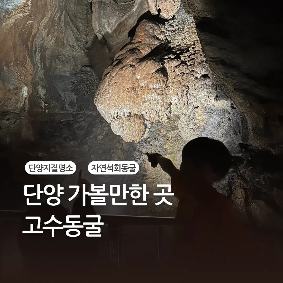 단양 고수동굴 여름에 시원할까? 여름 동굴 탐험 주의할 점