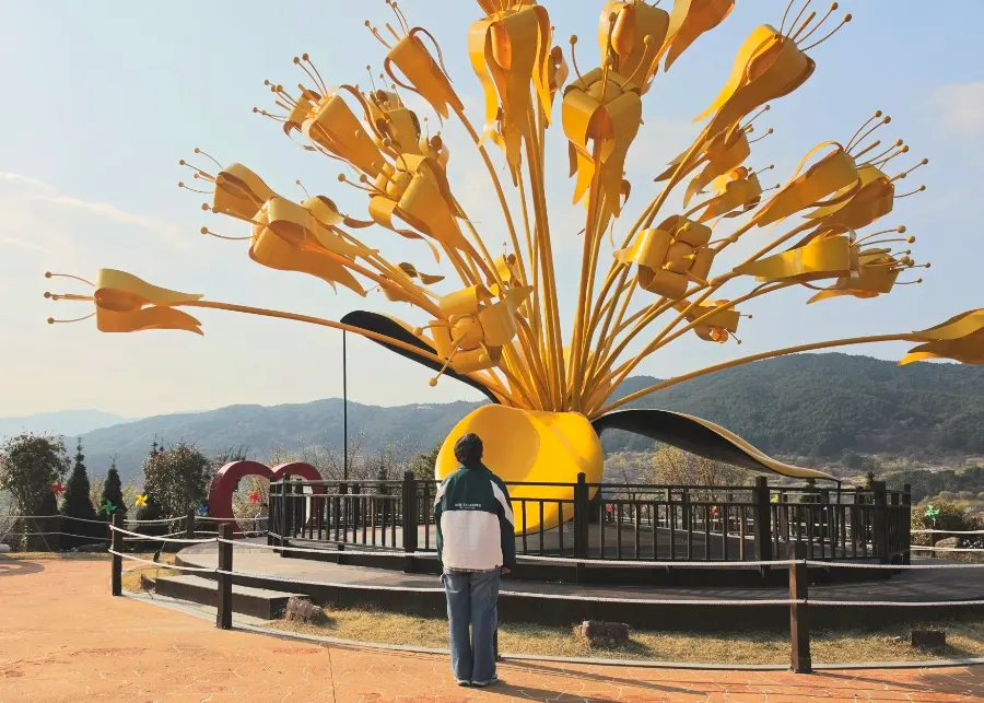 เทศกาลดอกซานซูยูคุเร 2026: เที่ยวทุ่งดอกไม้สีทองที่เกาหลีใต้