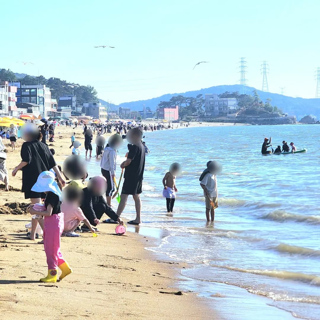 รีวิวหาดบังอาเมอรี แดบูโด 2026: เล่นน้ำ เดินป่าชายเลน ถ่ายรูปสวย ครบจบในวันเดียว!