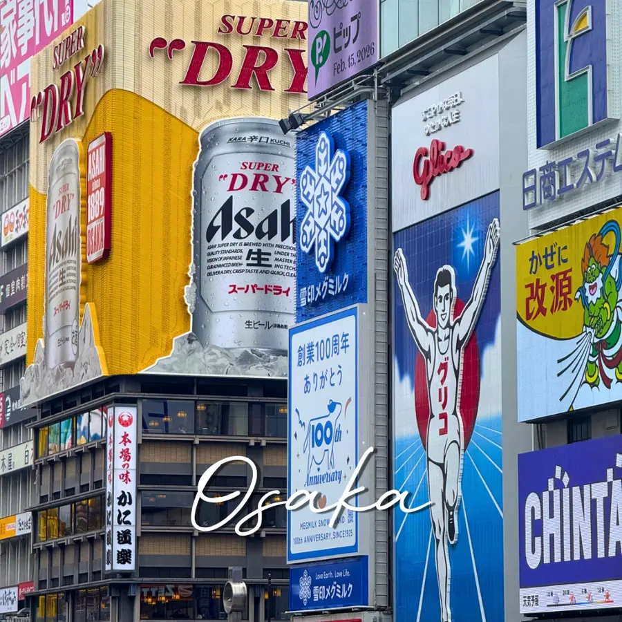 Osaka KIX Airport Transfer: Family Pickup Review 2026