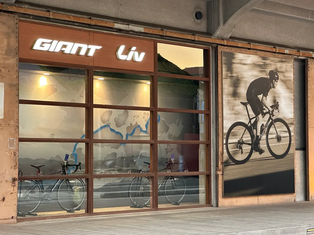 ปั่น Shimanami Kaido 2026: เช่าจักรยานที่โอโนมิจิร้านไหนดีสุด?
