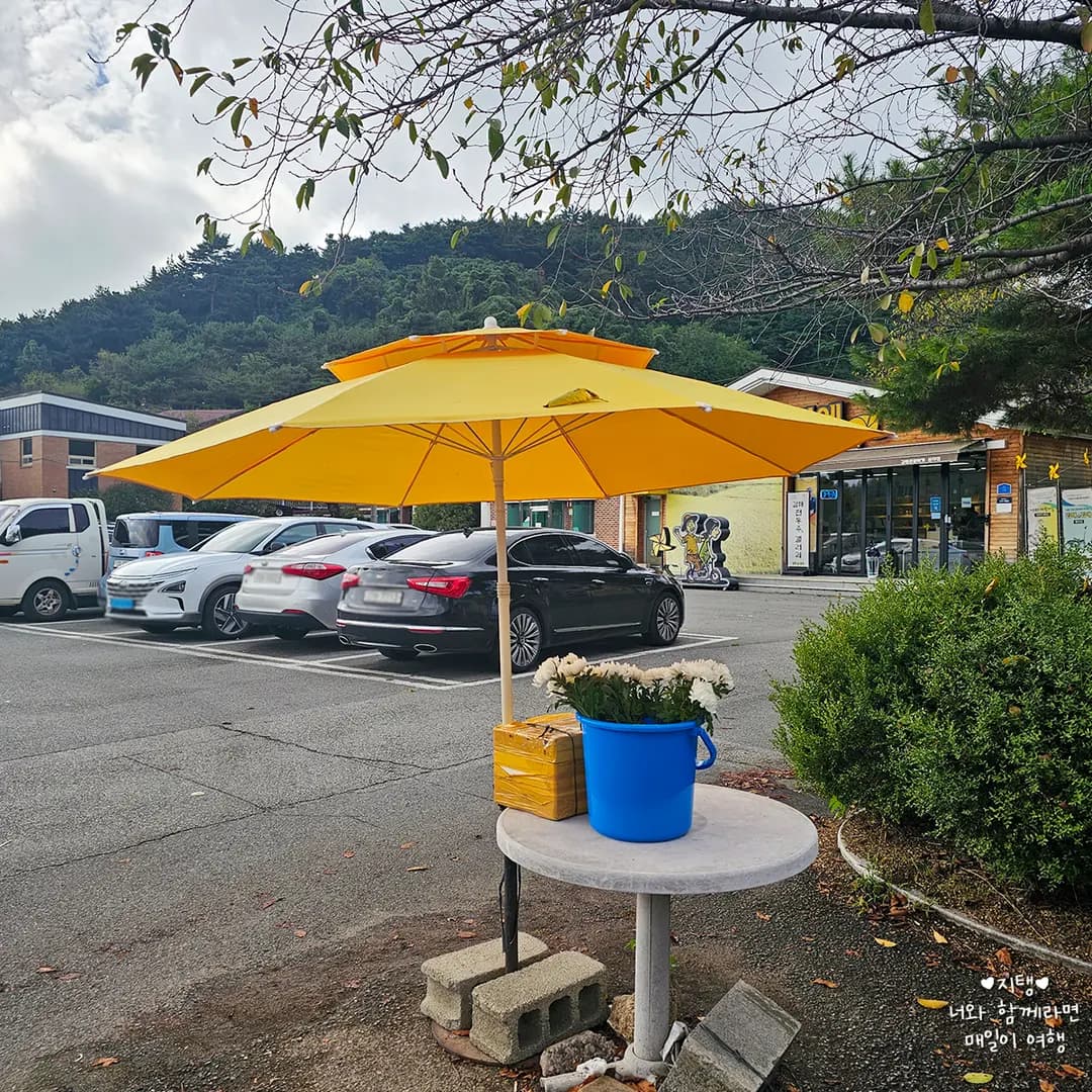 You can buy chrysanthemums near the Bongha Village parking lot.