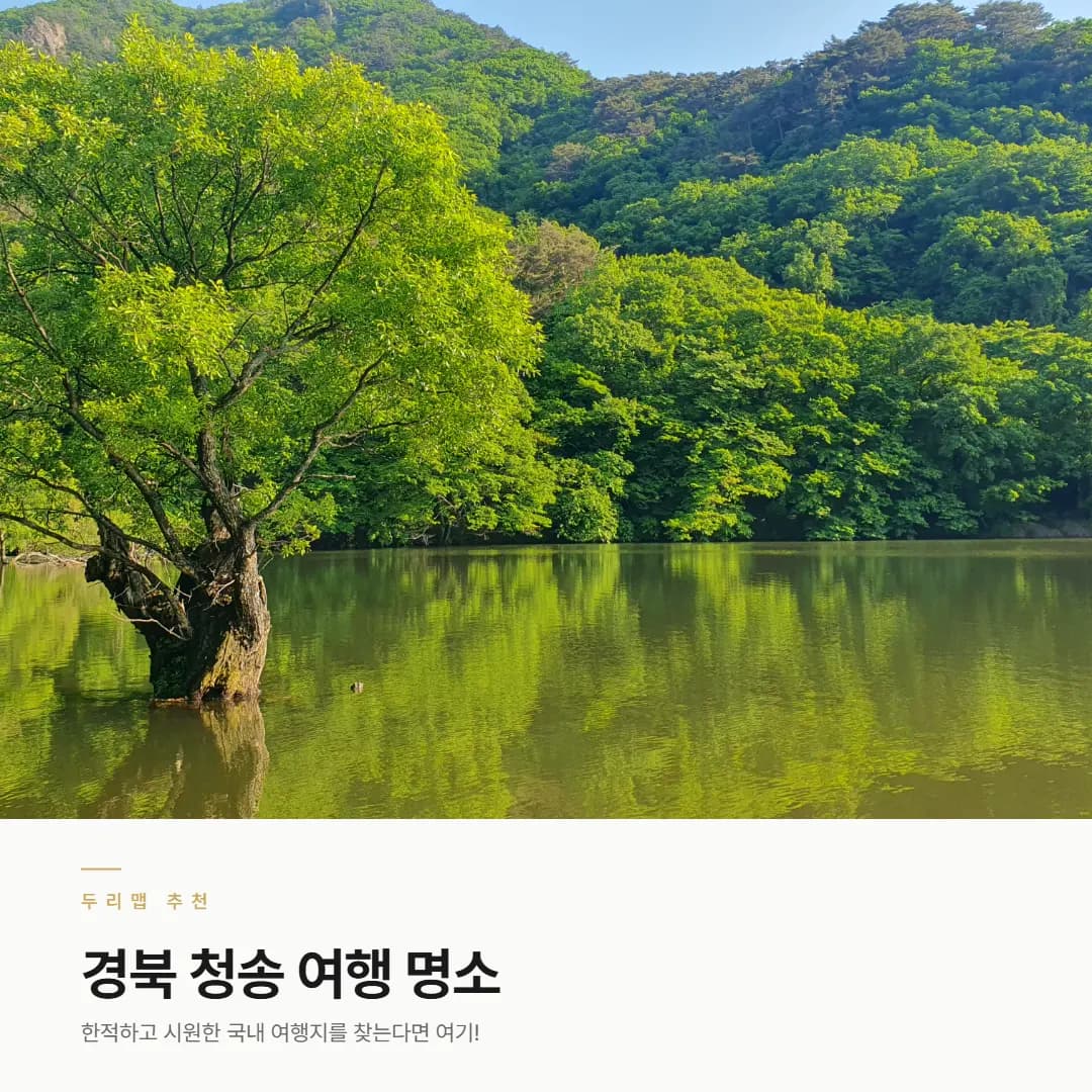 시원한 여름 국내 여행지 경북 청송 가볼만한 곳 여행 코스 추천