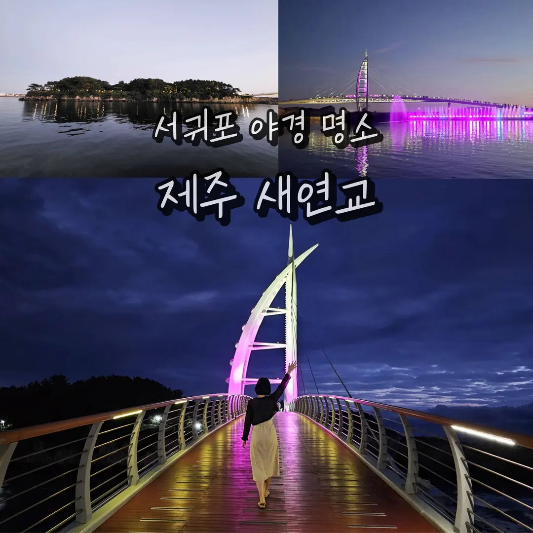 Saeyeongyo Bridge Jeju: Seogwipo Night View & Saeseom Walk