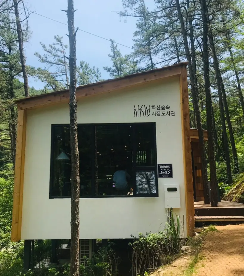 전주 실내 가볼만한 곳 평화동 학산숲속시집도서관 전주 도서관 여행
