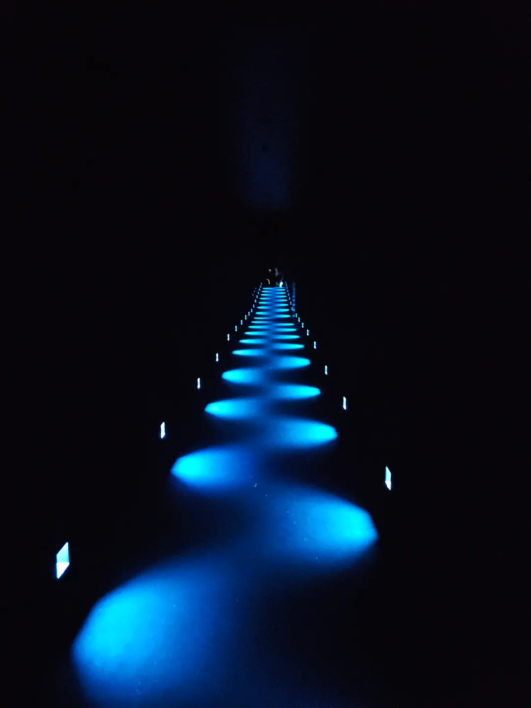 TeamLab Planets Tokyo Review: An Immersive Art Journey in 2026