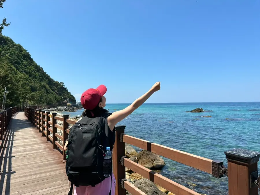 Jeongdongjin Sea Fan Road Trekking 2026: Hotels & Tips