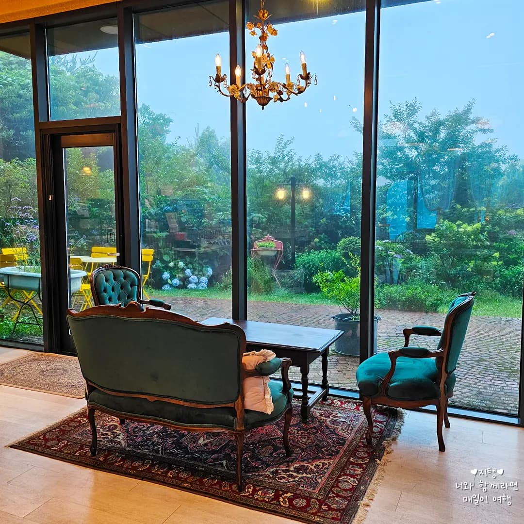 Jeju Yeonwoo Cafe Review: Peaceful Forest Views in Gyorae-ri