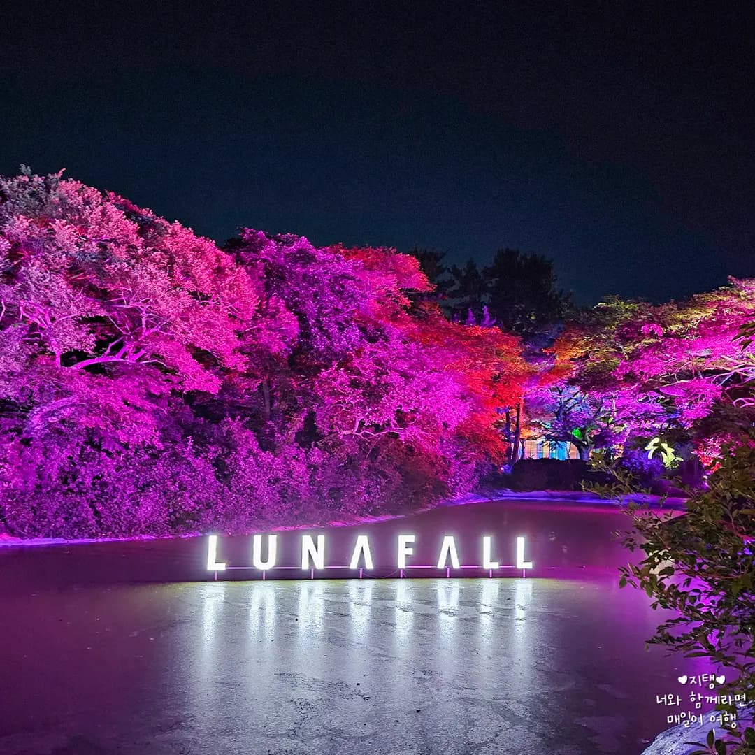 LunaPol Jeju Ticket Prices 2026: Tour Pass Discounts & Tips