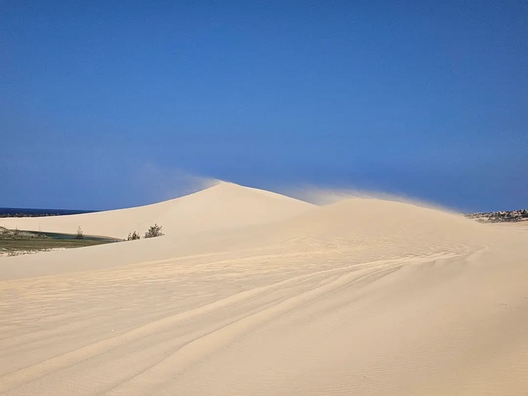Nha Trang Phan Rang Tour 2026: Discover Vietnam's Coastal Sand Dunes