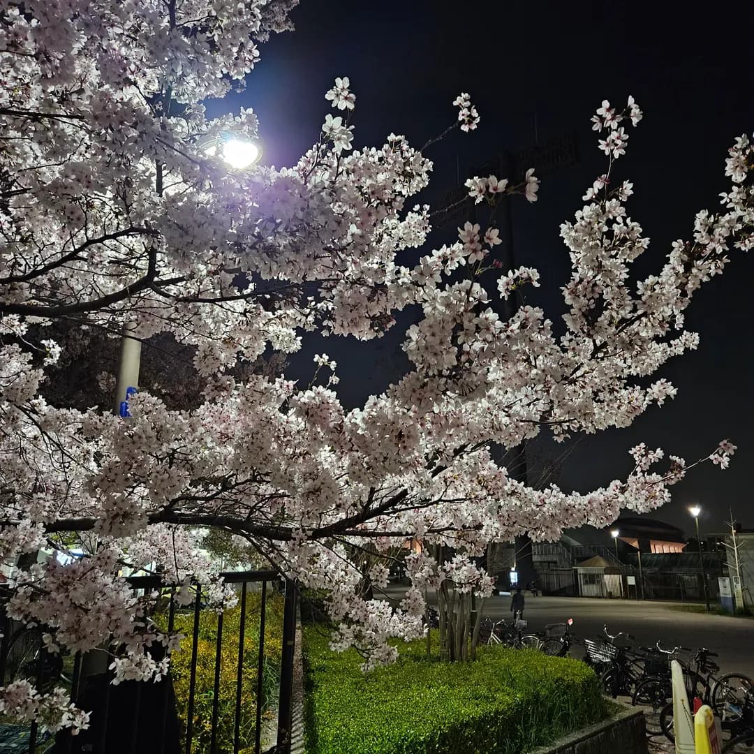 長居植物園入口付近の風景