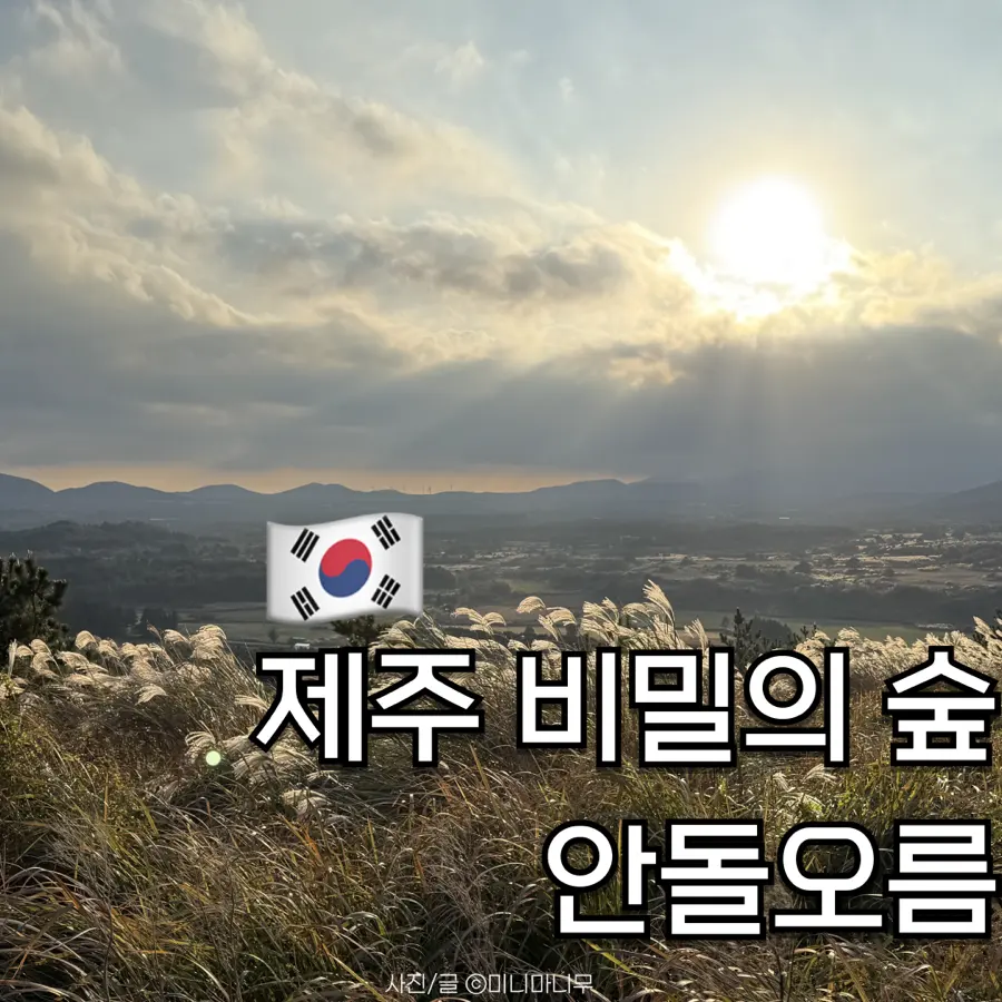 Andol Oreum Jeju Secret Forest Guide 2026: Parking & Trail Review