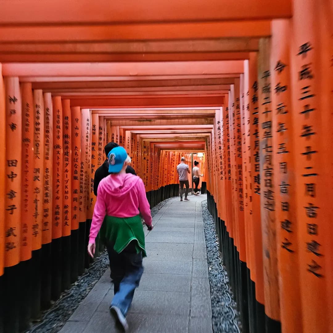 Osaka Kyoto Bus Tour: Arashiyama, Kinkakuji & Kiyomizu-dera