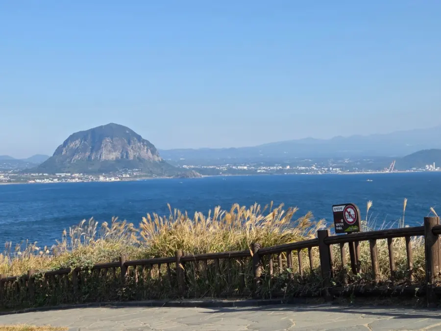 Jeju Island November 2026: Weather, Packing, and What to Wear
