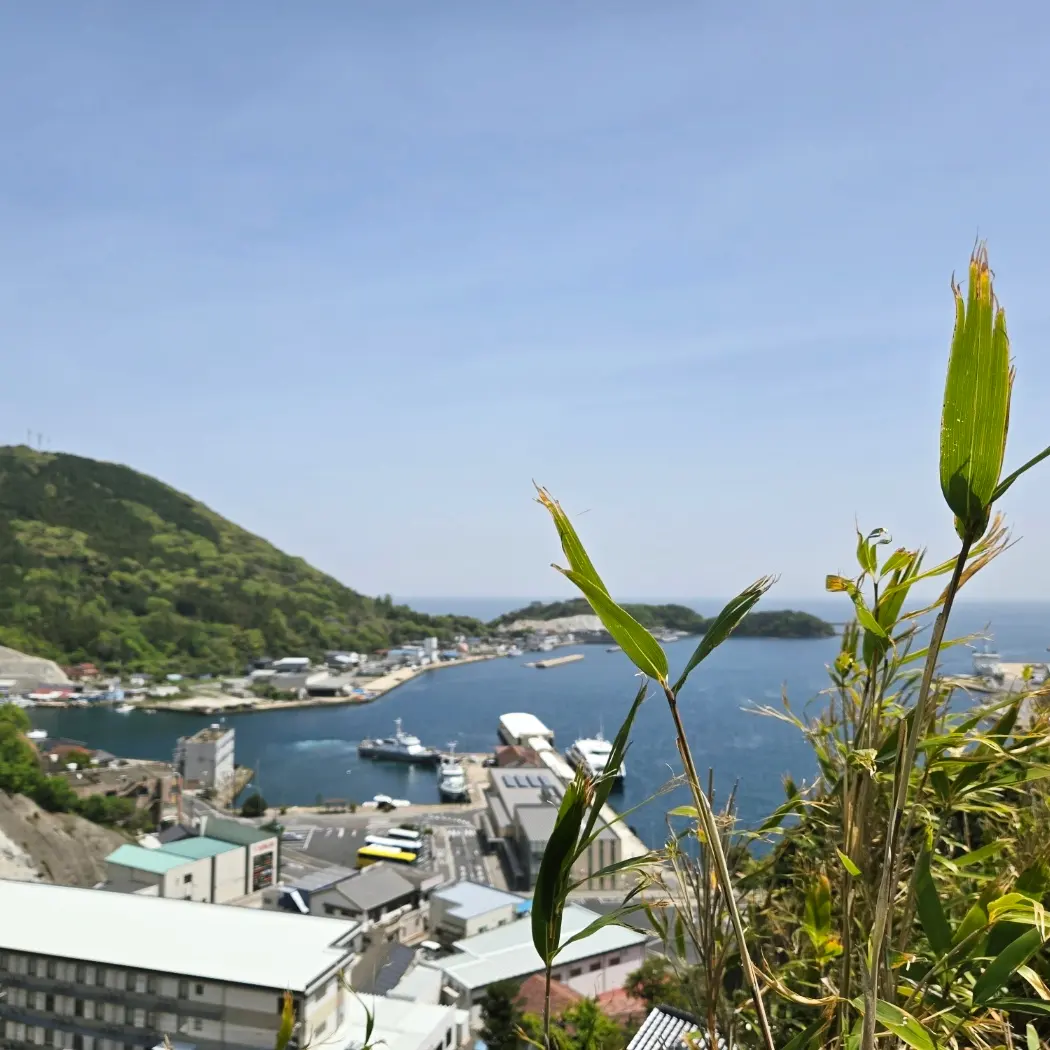 "당일치기 충분하다더니" 대마도 여행, 반은 맞고 반은 틀렸다