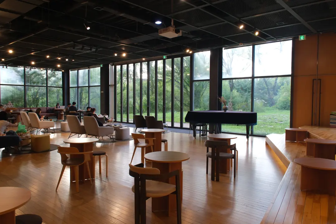 Paju's Forest of Wisdom Guide 2026: Parking, Cafe Discounts & More