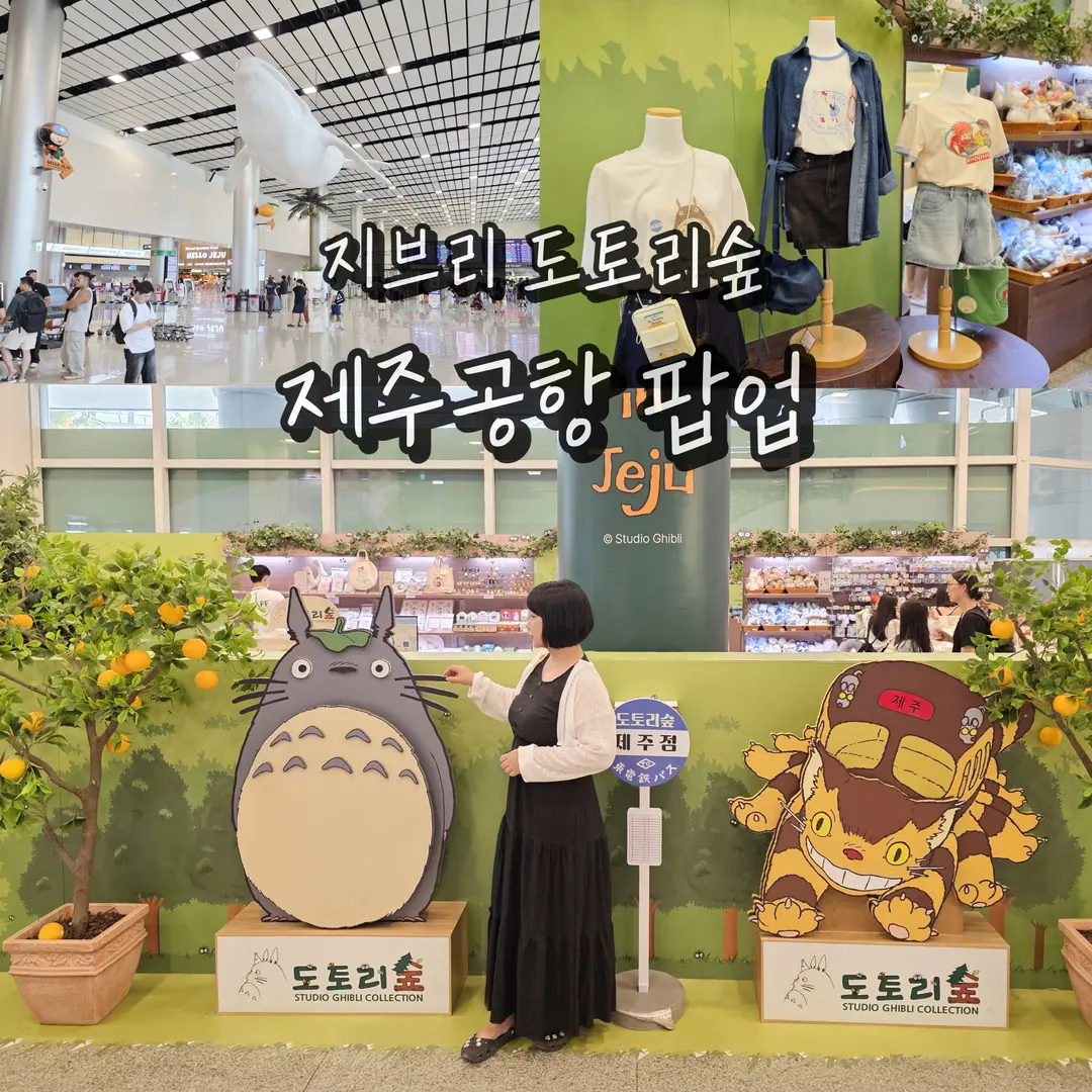 Jeju Airport's Studio Ghibli Pop-Up: Souvenirs for 2026