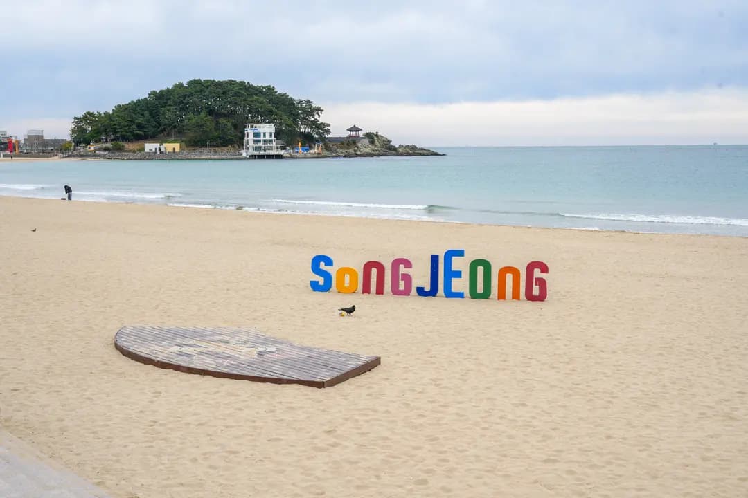 หาดซงจอง ปูซาน 2026: สวรรค์นักโต้คลื่น & ทะเลหน้าร้อนสุดฟิน!