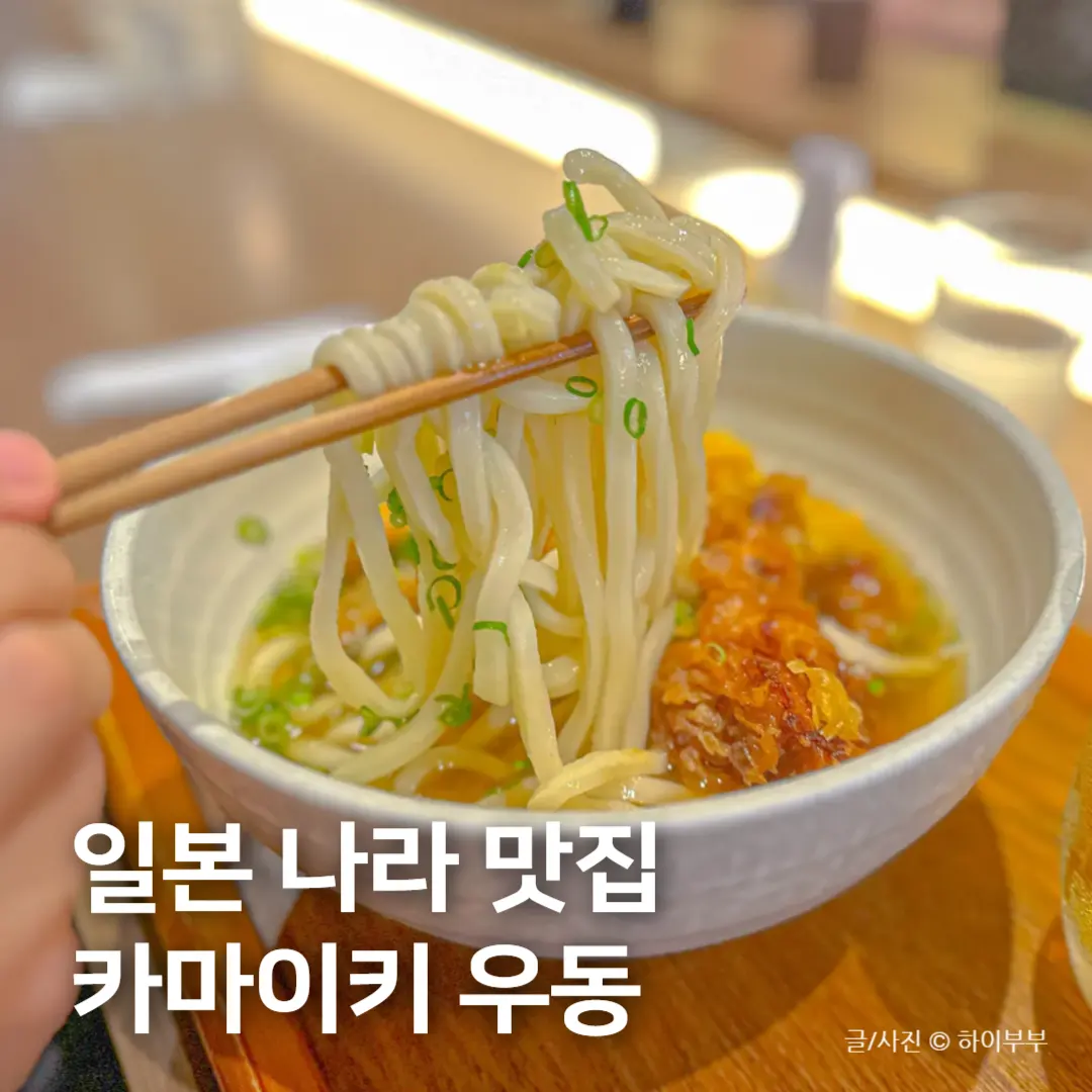일본 오사카 나라 맛집 추천, 카마이키 우동