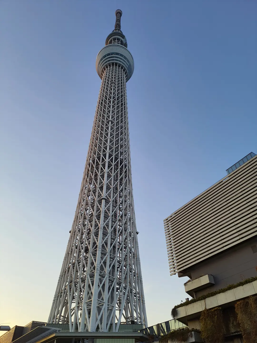 รีวิว Tokyo Skytree 2026: จองบัตรยังไง ให้ได้วิวกลางคืนสุดปัง!