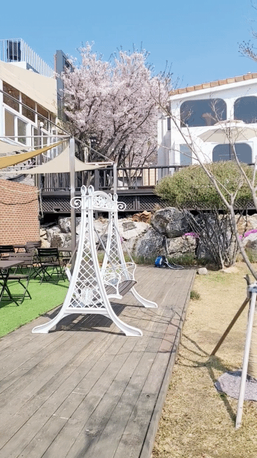 Ganghwado's Talkraphy Cafe 2026: Sea Views & Outdoor Bliss