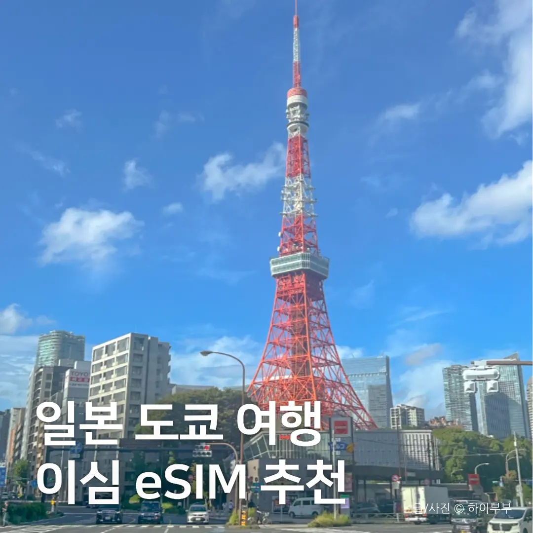 출처: unsplash