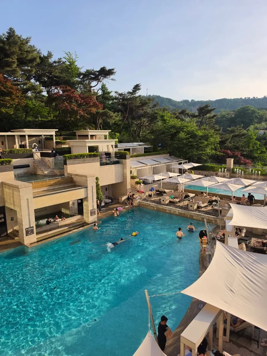 The Shilla Seoul Hotel Review 2026: Urban Island Pools & Amenities