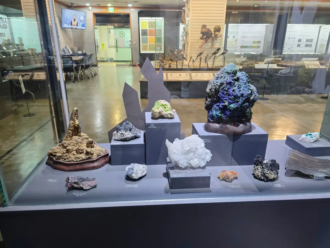 Chungnam National University Museum: Daejeon Indoor Family Fun