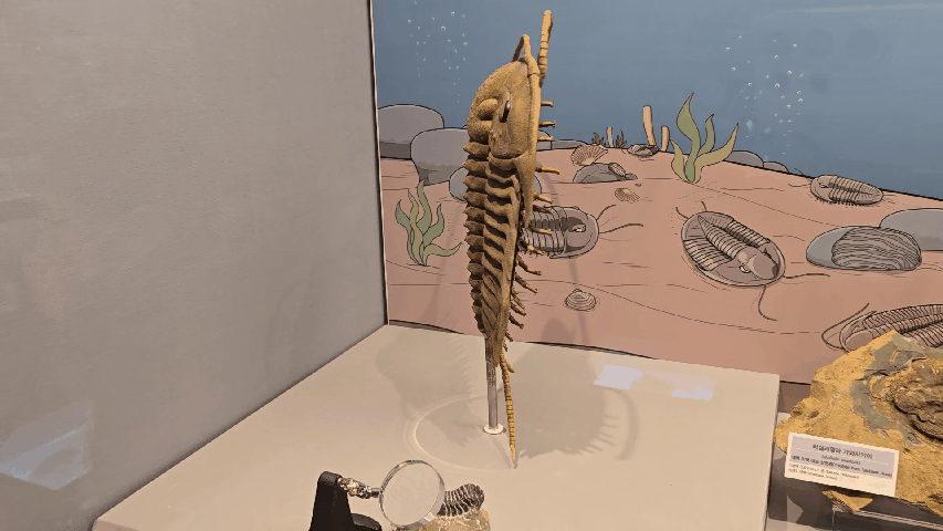Daejeon Geological Museum: Free Family Fun & Earth's History