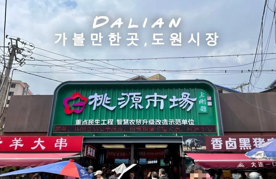 รีวิวตลาดเช้าต้าเหลียน 2026: ตลาดเถาหยวน สัมผัสวิถีโลคอลจีนแท้ๆ