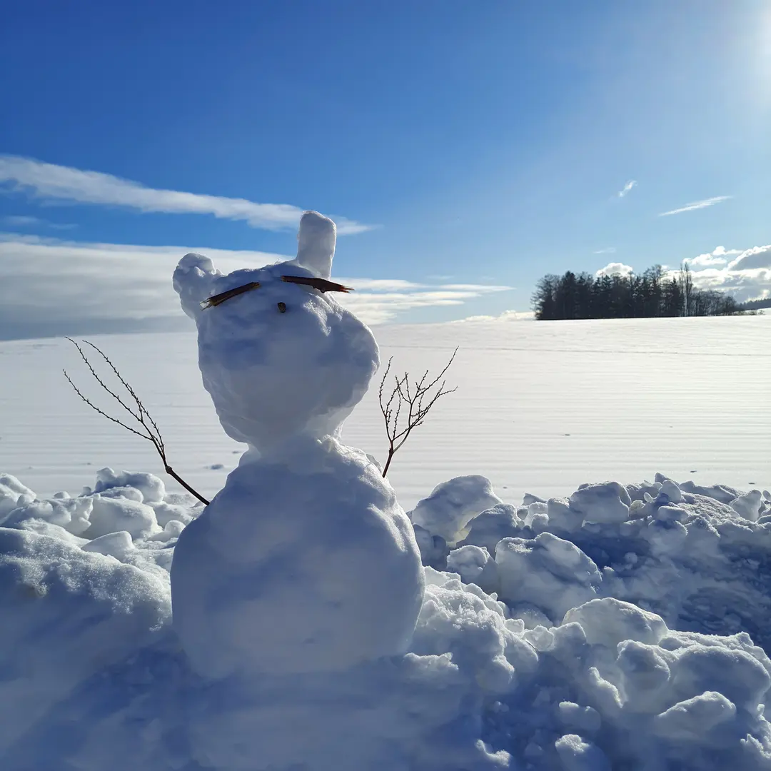 Sapporo Biei Bus Tour 2026: Winter Wonderland Day Trip