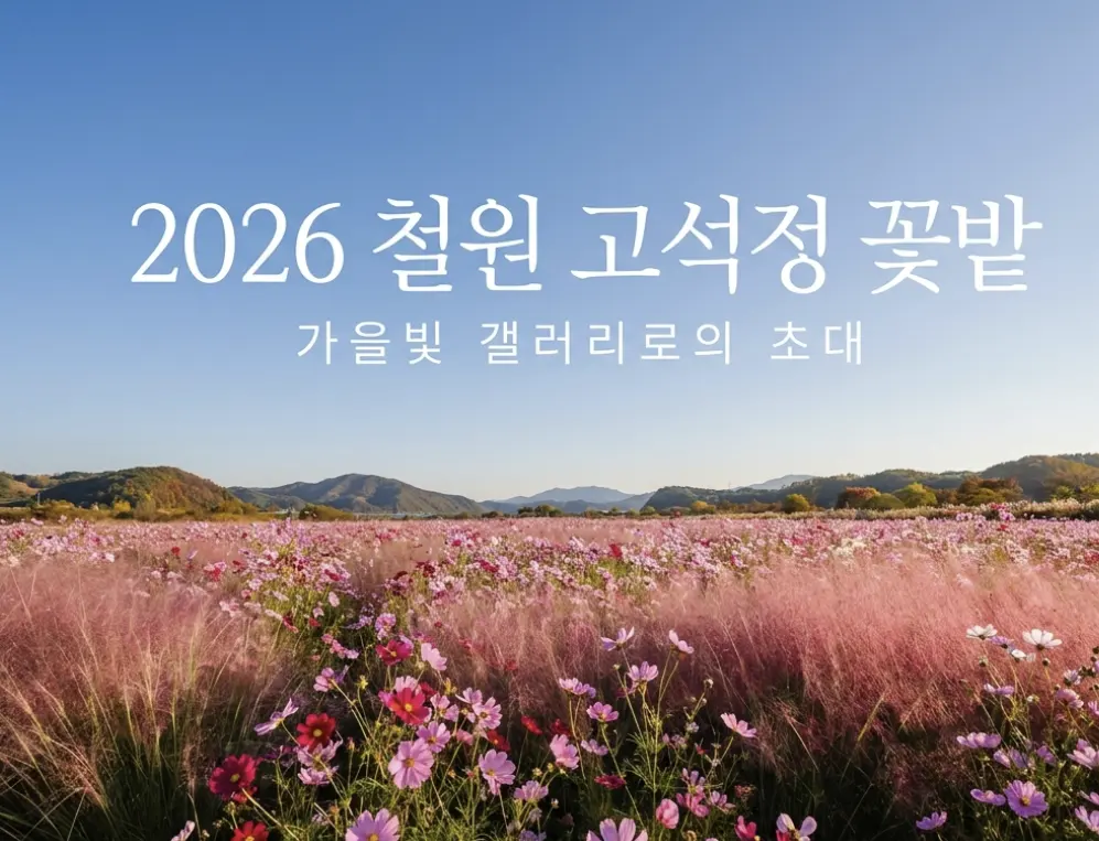 철원 고석정 꽃밭길, 가을에 꼭 가봐야 할 철원 꽃구경 명소